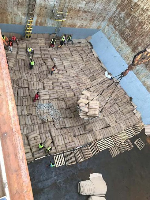 Thị trường điều Việt Nam được gì khi T&T Group nhập hàng trăm ngàn tấn điều thô? - Ảnh 3. Thị trường điều Việt Nam được gì khi T&T Group nhập hàng trăm ngàn tấn điều thô? - Ảnh 3.