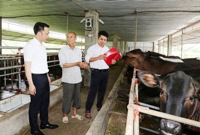Dấu ấn Agribank trong thành tựu 10 năm xây dựng nông thôn mới - Ảnh 1. Dấu ấn Agribank trong thành tựu 10 năm xây dựng nông thôn mới - Ảnh 1.