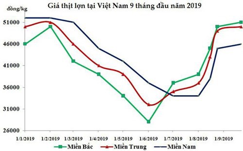 Sức nóng của thị trường thịt lợn sẽ kéo dài tới 2020 - Ảnh 1. Sức nóng của thị trường thịt lợn sẽ kéo dài tới 2020 - Ảnh 1.