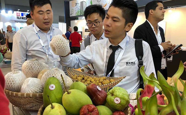 Trung Quốc siết nhập khẩu, rau quả Việt lao đao - Ảnh 1. Trung Quốc siết nhập khẩu, rau quả Việt lao đao - Ảnh 1.