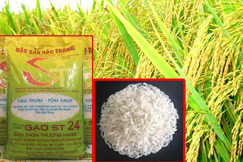 Từ tô phở tới hạt gạo: Vì sao ngon mà giá vẫn “bèo”? - Ảnh 2. Từ tô phở tới hạt gạo: Vì sao ngon mà giá vẫn “bèo”? - Ảnh 2.