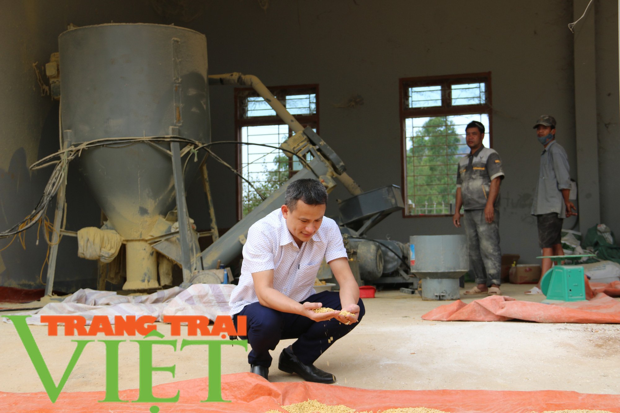 Nuôi gà bằng thức ăn hữu cơ kết hợp thảo dược, thịt săn chắc thơm ngon - Ảnh 9. Nuôi gà bằng thức ăn hữu cơ kết hợp thảo dược, thịt săn chắc thơm ngon - Ảnh 9.
