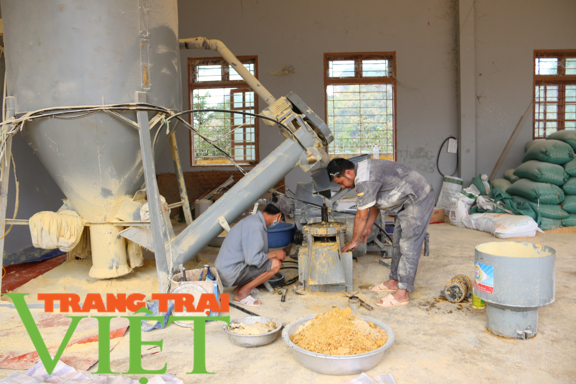 Nuôi gà bằng thức ăn hữu cơ kết hợp thảo dược, thịt săn chắc thơm ngon - Ảnh 6. Nuôi gà bằng thức ăn hữu cơ kết hợp thảo dược, thịt săn chắc thơm ngon - Ảnh 6.