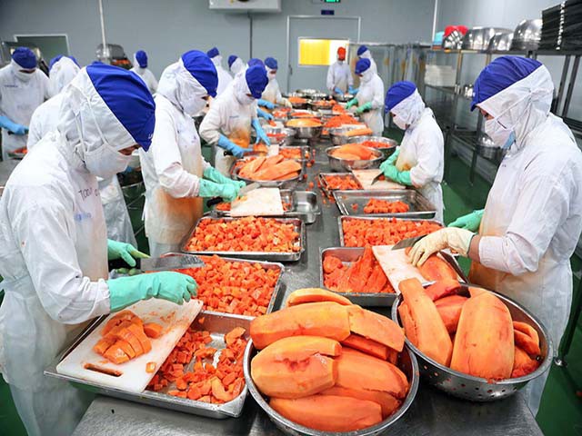Lối đi nào cho rau, quả Việt xuất khẩu tới “trời” Âu? - Ảnh 2. Lối đi nào cho rau, quả Việt xuất khẩu tới “trời” Âu? - Ảnh 2.