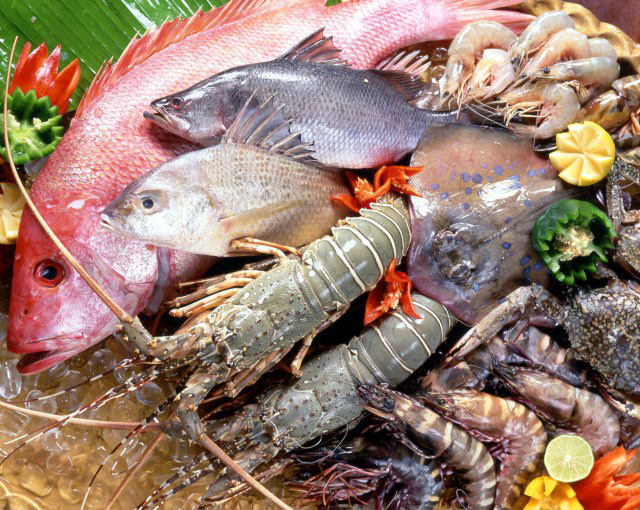 Nguy cơ thủy sản không được vào EU - Ảnh 1. Nguy cơ thủy sản không được vào EU - Ảnh 1.