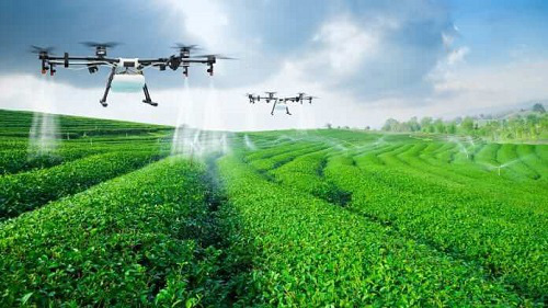 Gia nhập EVFTA: Nông dân phải là doanh nghiệp - Ảnh 3. Gia nhập EVFTA: Nông dân phải là doanh nghiệp - Ảnh 3.