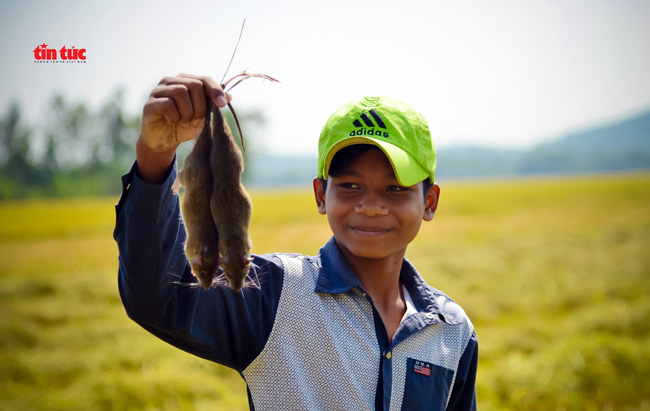 An Giang đẹp ngỡ ngàng mùa lúa chín - Ảnh 8.