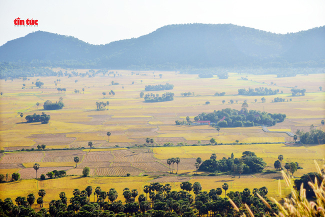 An Giang đẹp ngỡ ngàng mùa lúa chín - Ảnh 10.