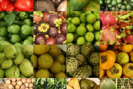 Thiếu chuỗi giá trị, trái cây nhiệt đới Việt Nam còn khó xuất khẩu - Ảnh 2. Thiếu chuỗi giá trị, trái cây nhiệt đới Việt Nam còn khó xuất khẩu - Ảnh 2.
