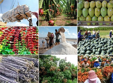 Giá nông sản tiếp tục giảm sâu, xuất khẩu nông, lâm, thủy sản ngay lập tức “lao dốc” - Ảnh 2. Giá nông sản tiếp tục giảm sâu, xuất khẩu nông, lâm, thủy sản ngay lập tức “lao dốc” - Ảnh 2.
