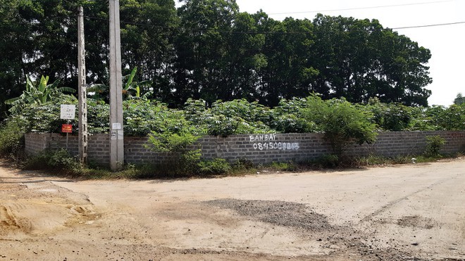 Đất nền: Điểm nóng đầu tư số 1 - Ảnh 1. Đất nền: Điểm nóng đầu tư số 1 - Ảnh 1.