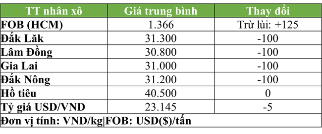 Giá cà phê thấp kỉ lục, Vicofa phải họp khẩn - Ảnh 1.