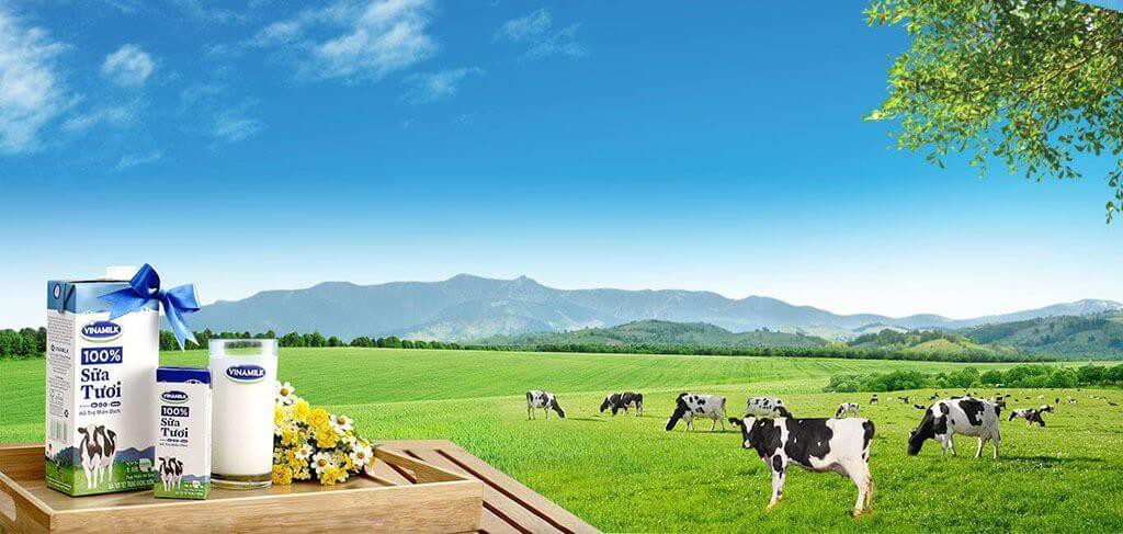 “Đặt chân” vào thị trường Trung Quốc, Vinamilk của bà Lê Thị Băng Tâm lãi trên 30 tỷ mỗi ngày - Ảnh 3. “Đặt chân” vào thị trường Trung Quốc, Vinamilk của bà Lê Thị Băng Tâm lãi trên 30 tỷ mỗi ngày - Ảnh 3.