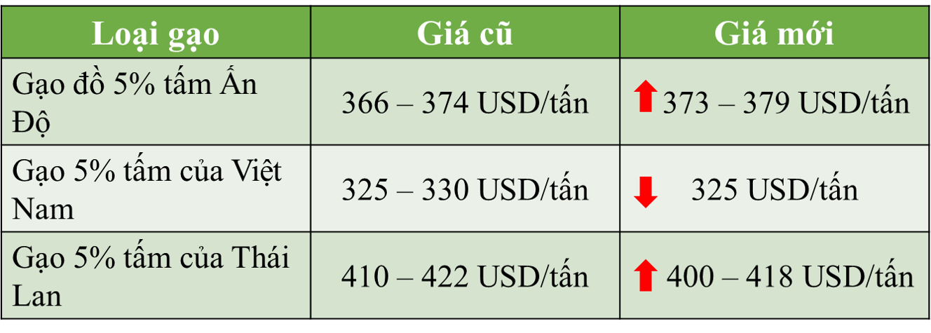 Nhu cầu xuống thấp, giá gạo “chạm đáy” trong hơn 1 thập kỉ - Ảnh 2. Nhu cầu xuống thấp, giá gạo “chạm đáy” trong hơn 1 thập kỉ - Ảnh 2.