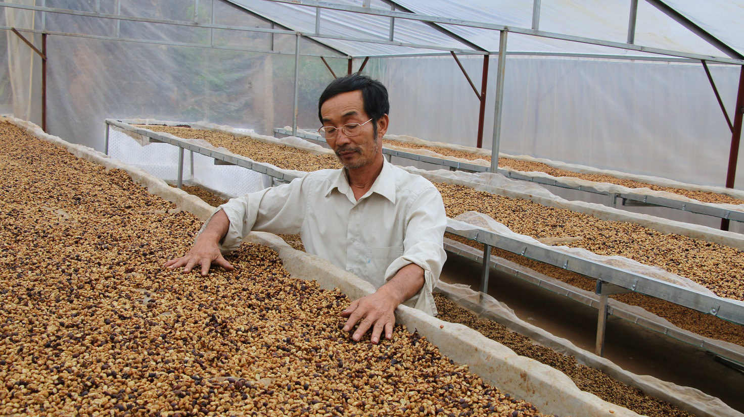 Nâng cao thương hiệu nông sản Sơn La từ sản phẩm cà phê - Ảnh 1. Nâng cao thương hiệu nông sản Sơn La từ sản phẩm cà phê - Ảnh 1.
