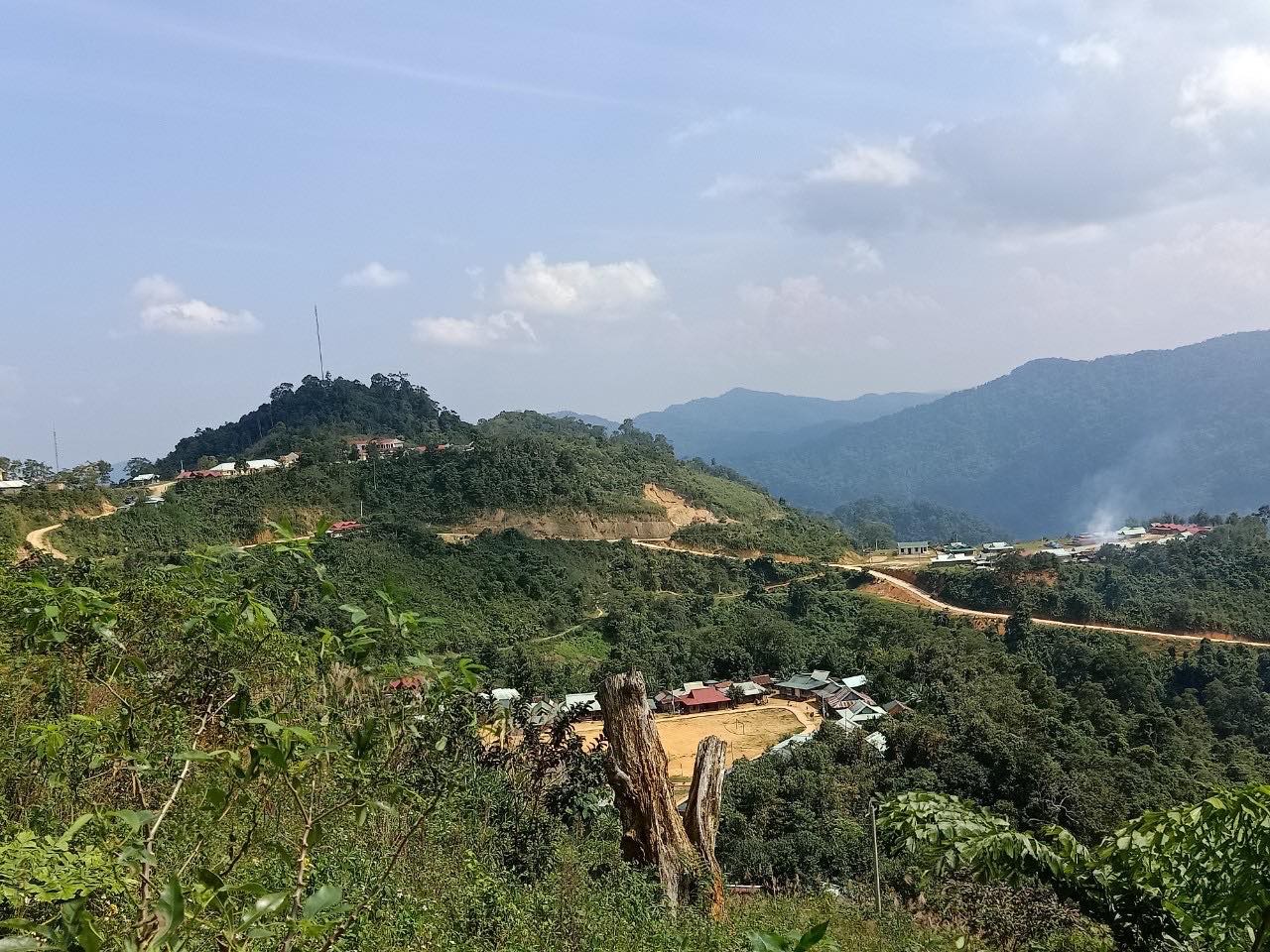 Quảng Nam: Cây dược liệu xóa đói nghèo cho đồng bào ở vùng biên - Ảnh 6. Quảng Nam: Cây dược liệu xóa đói nghèo cho đồng bào ở vùng biên - Ảnh 6.