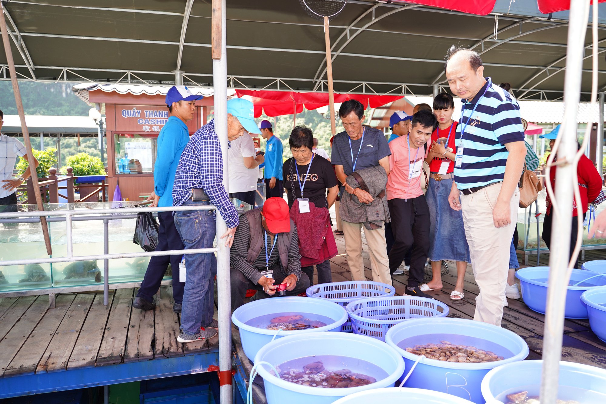 Đại Yên Plaza - Điểm hẹn du lịch không thể bỏ qua khi tới Hạ Long - Ảnh 7. Đại Yên Plaza - Điểm hẹn du lịch không thể bỏ qua khi tới Hạ Long - Ảnh 7.