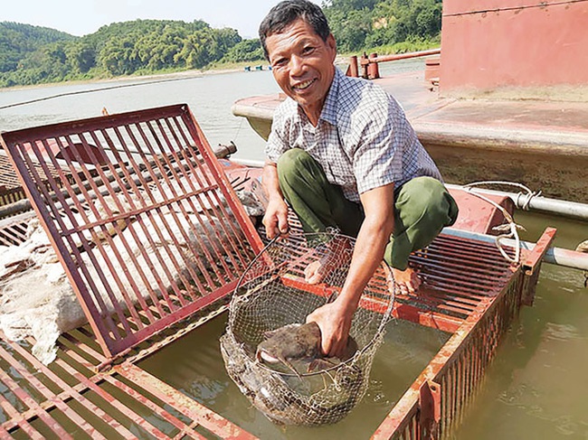 Nuôi loài cá &quot;chúa tể dòng sông&quot;, thu bộn tiền - Ảnh 2.