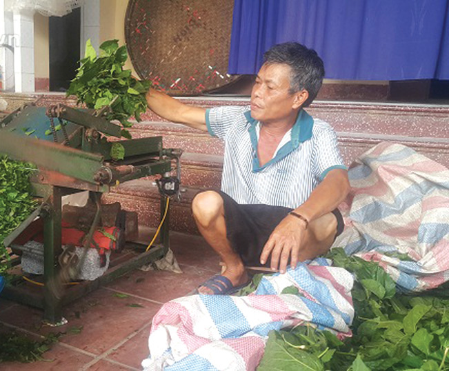 Cho tằm "nằm" phòng lạnh, dân nhàn lại có tiền đều tay - Ảnh 2. Cho tằm "nằm" phòng lạnh, dân nhàn lại có tiền đều tay - Ảnh 2.