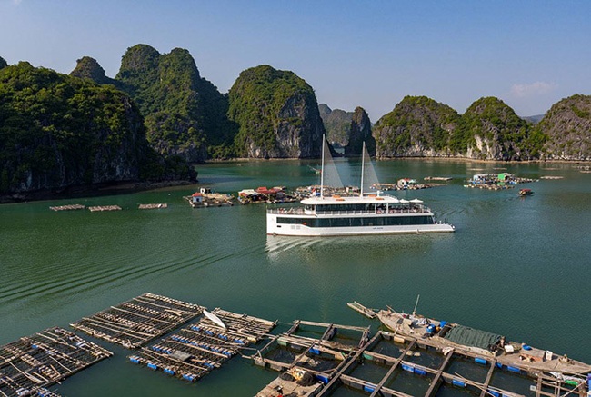 Quảng Ninh: Lo du lịch trá hình, rà soát tuyến tàu Tuần Châu – Cát Bà - Ảnh 1.