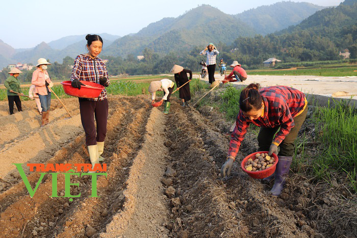 Nông thôn mới Dương Quỳ: Đích đến không còn xa - Ảnh 2. Nông thôn mới Dương Quỳ: Đích đến không còn xa - Ảnh 2.