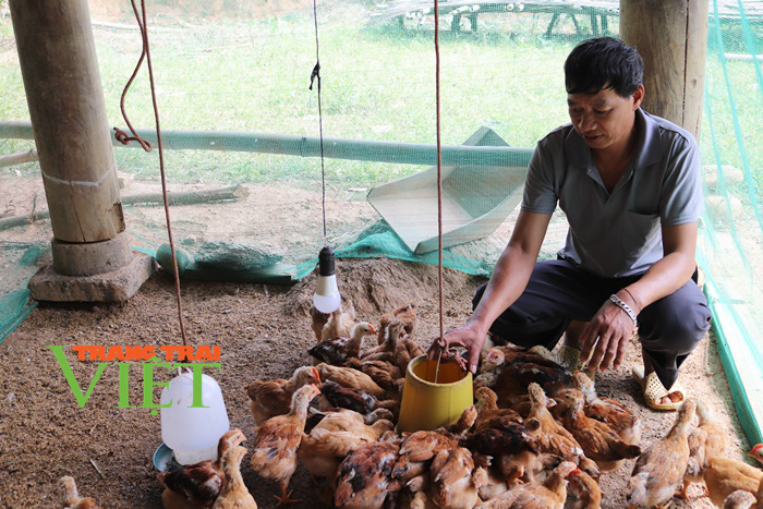 Nông thôn mới Dương Quỳ: Đích đến không còn xa - Ảnh 3. Nông thôn mới Dương Quỳ: Đích đến không còn xa - Ảnh 3.