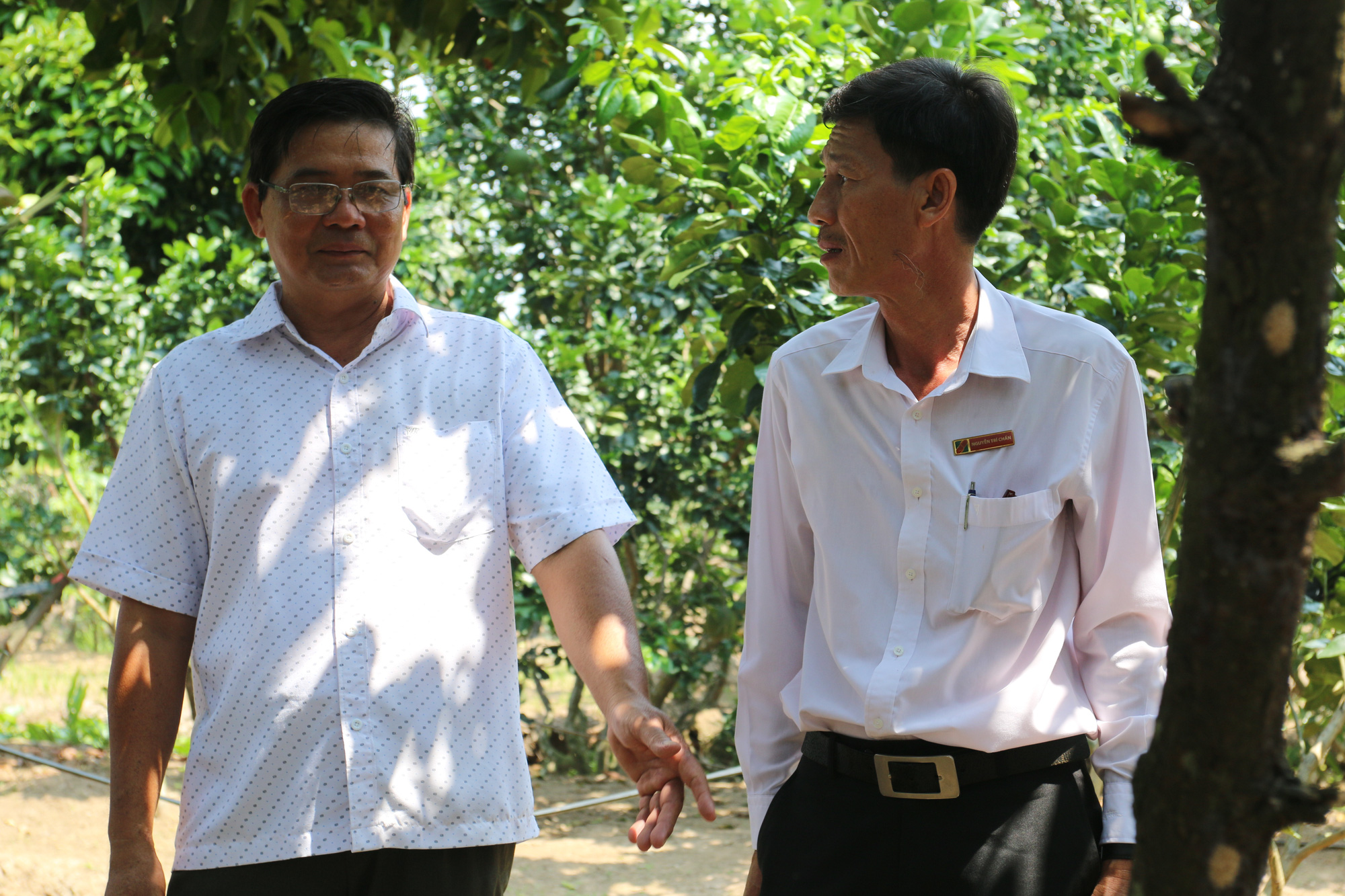Agribank Bến Tre với mô hình 3N - Ảnh 3. Agribank Bến Tre với mô hình 3N - Ảnh 3.