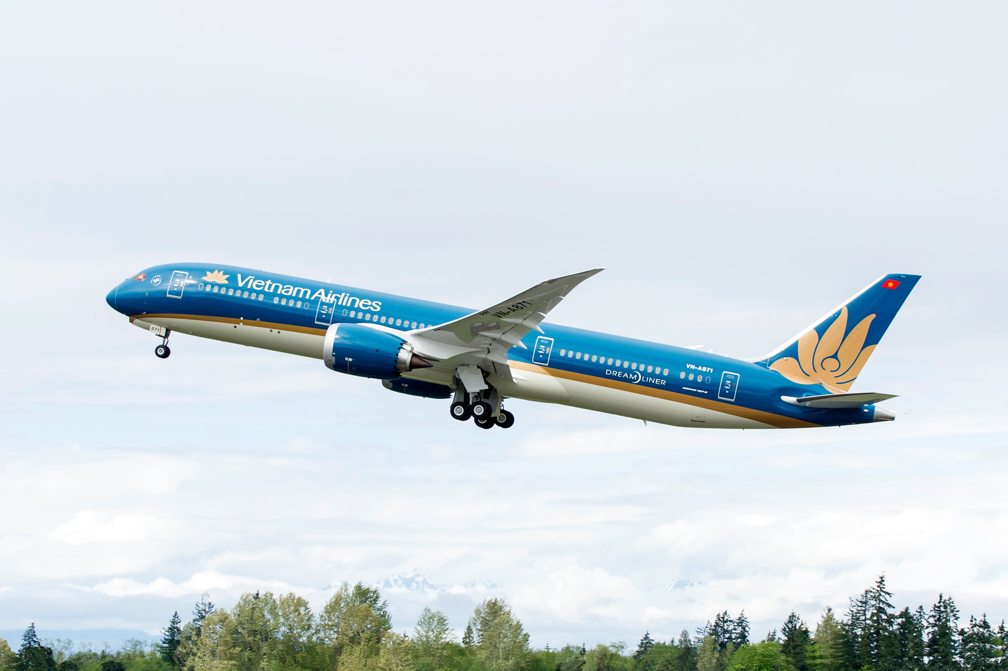 Vietnam Airlines cung cấp gần 70.000 vé máy bay giá rẻ phục vụ người dân dịp Tết Nguyên đán - Ảnh 1. Vietnam Airlines cung cấp gần 70.000 vé máy bay giá rẻ phục vụ người dân dịp Tết Nguyên đán - Ảnh 1.