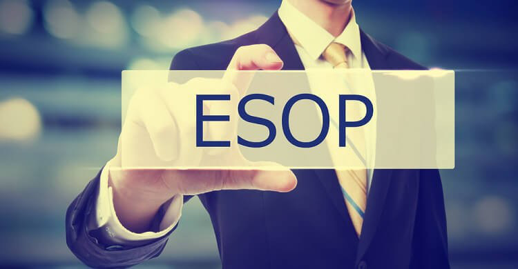 Nhà đầu tư dao động khi doanh nghiệp tăng phát hành ESOP - Ảnh 1. Nhà đầu tư dao động khi doanh nghiệp tăng phát hành ESOP - Ảnh 1.