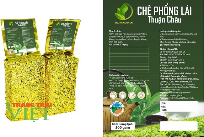 Chè Phổng Lái – hương vị tinh túy của đất trời Tây Bắc - Ảnh 5.