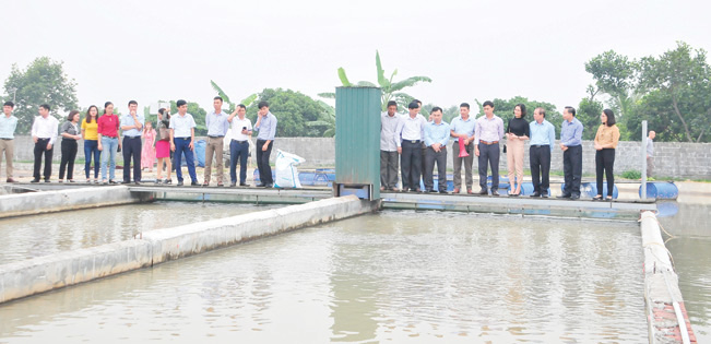 Khai thác hiệu quả thế mạnh nuôi cá nước ngọt ở miền Bắc - Ảnh 2. Khai thác hiệu quả thế mạnh nuôi cá nước ngọt ở miền Bắc - Ảnh 2.