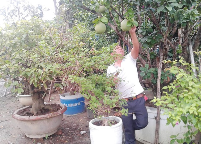 7X giỏi làm kinh tế, hết lòng làm thiện nguyện - Ảnh 1.