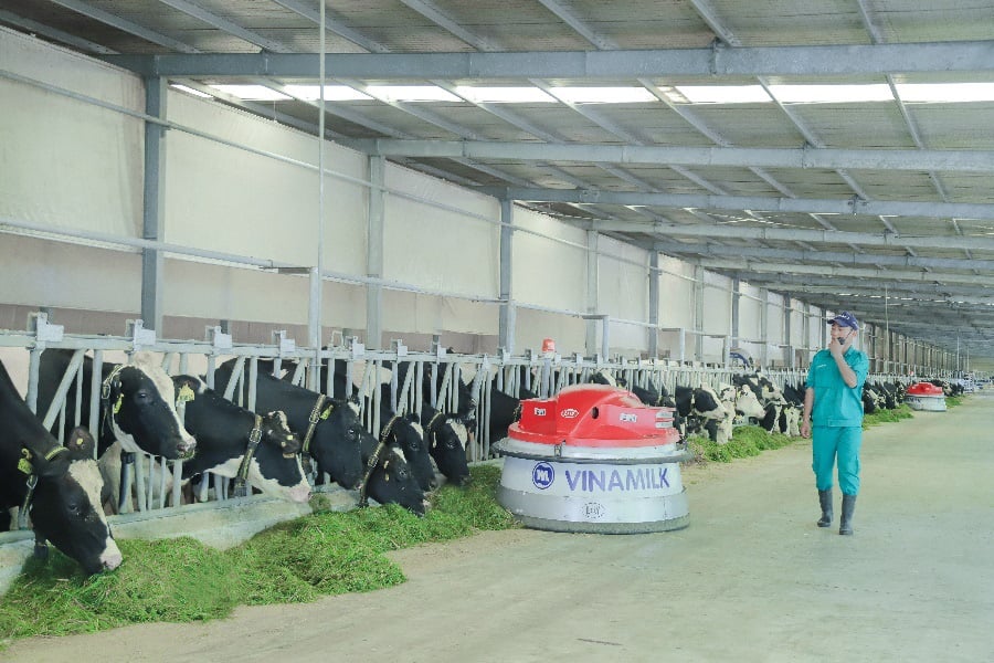 Từ vụ tin đồn về nguồn nguyên liệu sữa của Vinamilk: Phải có chế tài xử lý nghiêm - Ảnh 2. Từ vụ tin đồn về nguồn nguyên liệu sữa của Vinamilk: Phải có chế tài xử lý nghiêm - Ảnh 2.