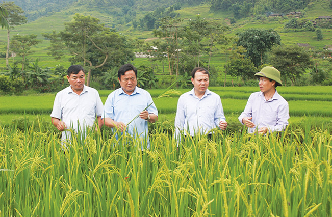 Xã vùng cao Yên Bái "thay da đổi thịt" từ xây dựng nông thôn mới - Ảnh 1. Xã vùng cao Yên Bái "thay da đổi thịt" từ xây dựng nông thôn mới - Ảnh 1.