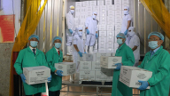 Nhờ EVFTA, cá ngừ tăng tốc sang EU, Việt Nam thực hiện tốt khuyến nghị chống khai thác IUU