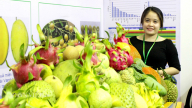 EVFTA: Nhiều doanh nghiệp không biết là hiệp định gì, lần đầu nghe nói đến