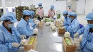 Có EVFTA, rau quả thoái mái đi Tây nhưng vẫn không thể thiếu GAP