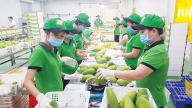 Ứng xử thế nào giữa EVFTA, CPTPP và RCEP?
