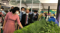 Hội chợ khuyến mại lớn nhất TP.HCM năm 2021