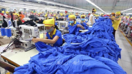 Cú đảo chiều ngoạn mục