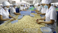 Xuất khẩu hạt điều sang Đức sẽ khả quan trong năm 2022