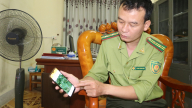 Hạt Kiểm lâm huyện Phù Yên ứng dụng công nghệ 4.0 trong công tác quản lý, bảo vệ và PCCCR