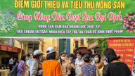 15 tấn nông sản Sơn La được Hải Phòng hỗ trợ tiêu thụ không lợi nhuận