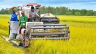 Thành phố lớn quá tải, nông thôn tụt hậu