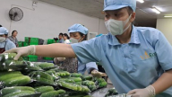Chung tay nâng chất thực phẩm Việt Nam