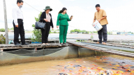 Du lịch canh nông
