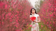 Chính phủ đồng ý nghỉ Tết Nguyên đán 2023 trong 7 ngày