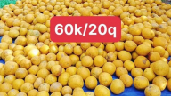 Chợ mạng rao bán bưởi Diễn chỉ từ 3.000 đồng/quả