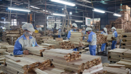 Ứng phó tác động xấu từ nền kinh tế toàn cầu