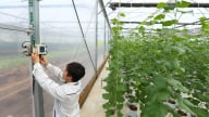 Doanh nghiệp 'liệu cơm gắp mắm' để chuyển đổi số